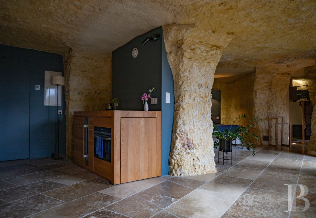 A château and its hamlet on the edge of a forest in the heights of a village near Amboise, In Indre-et-Loire - photo  n°44